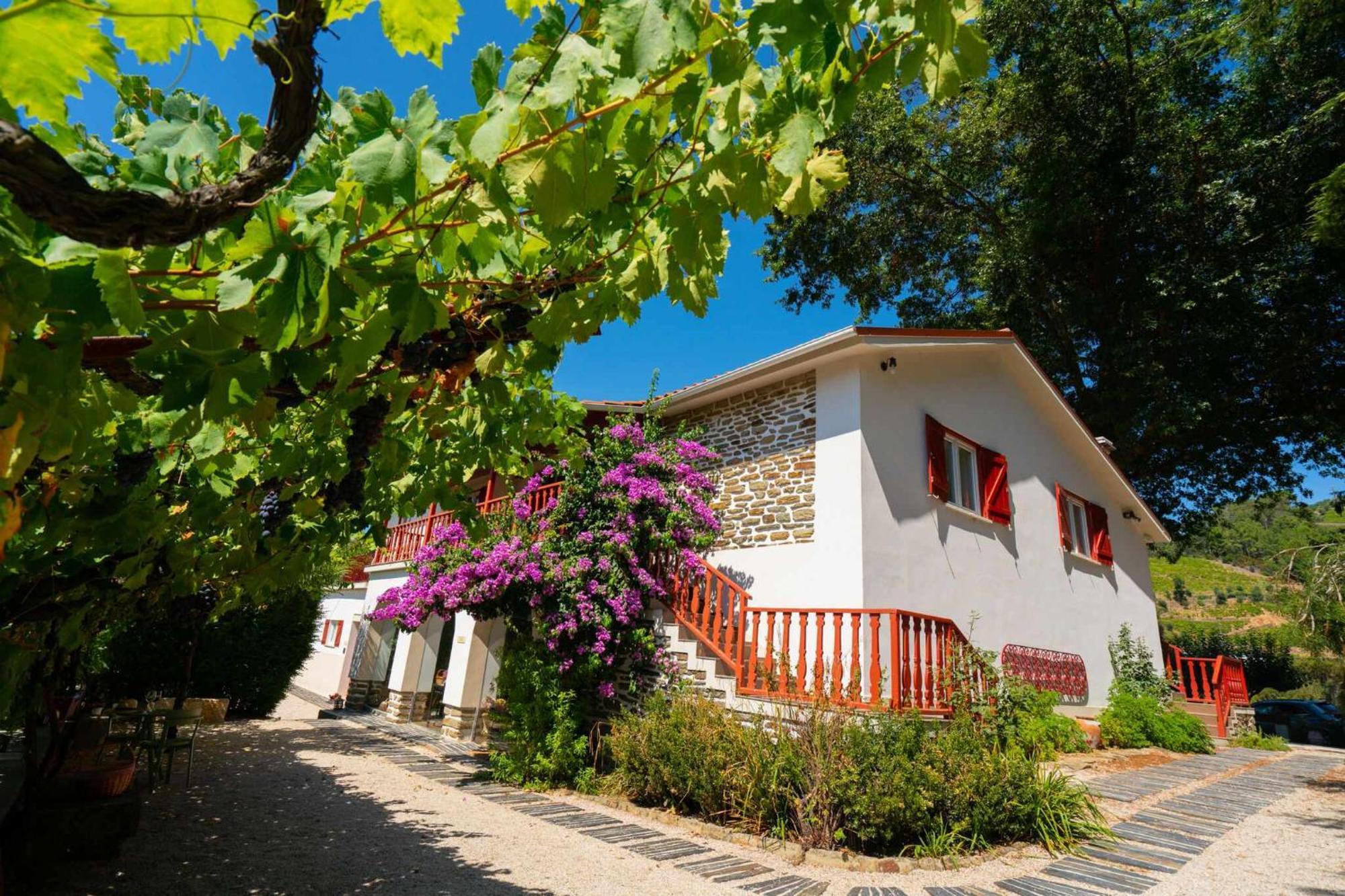 Quinta Da Pousada Casa De Campo Santa Marta de Penaguião Dış mekan fotoğraf